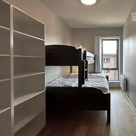 Modern In In Out Apartment Trysil