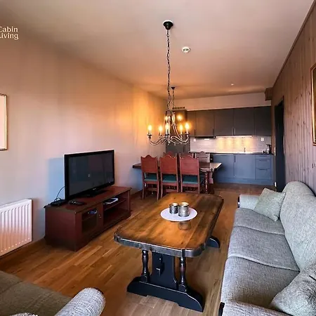 Modern In In Out Apartment Trysil