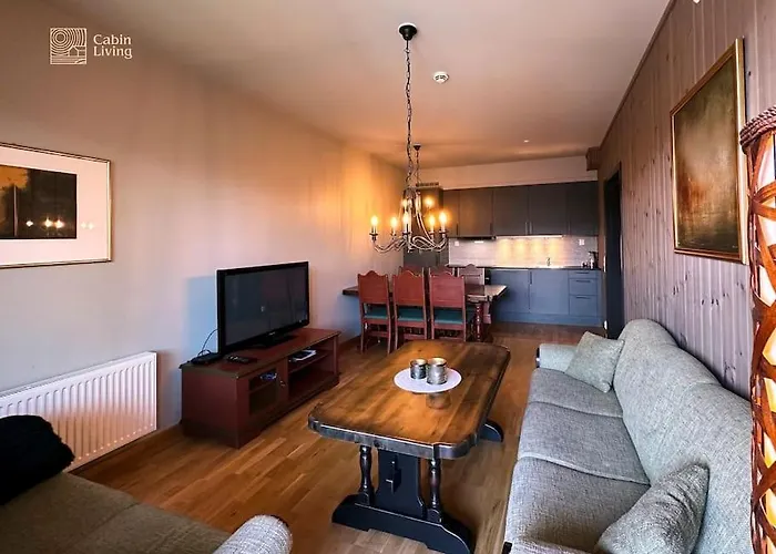 Modern In In Out Lägenhet Trysil